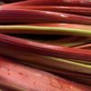 Tiges de rhubarbe
