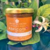 Abricots Fleur d'oranger eb scène avec une fleur d'oranger - Bocal de Fruits