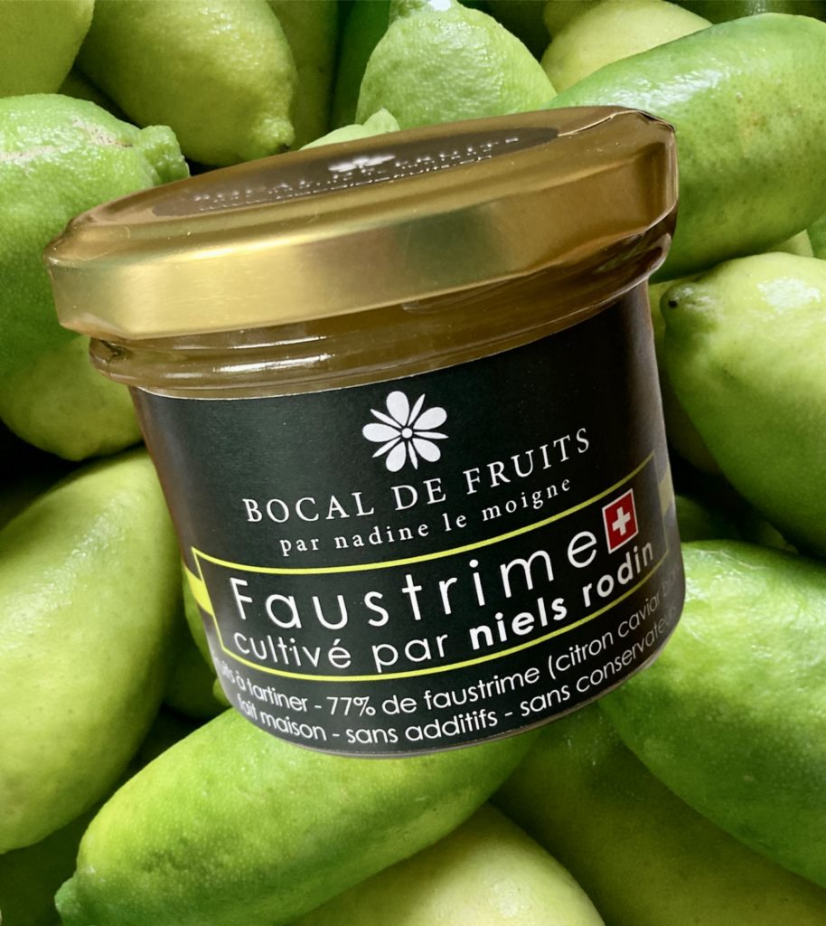 Faustrime bocal sur fruits - Bocal de Fruits